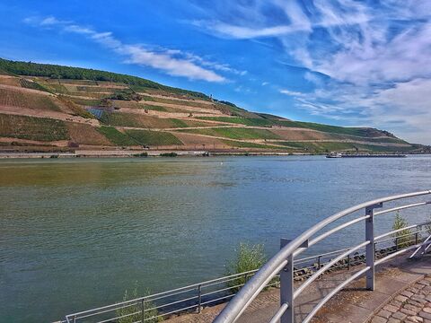Nahe-Rhein-Mündung